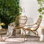 Chaise Harlem