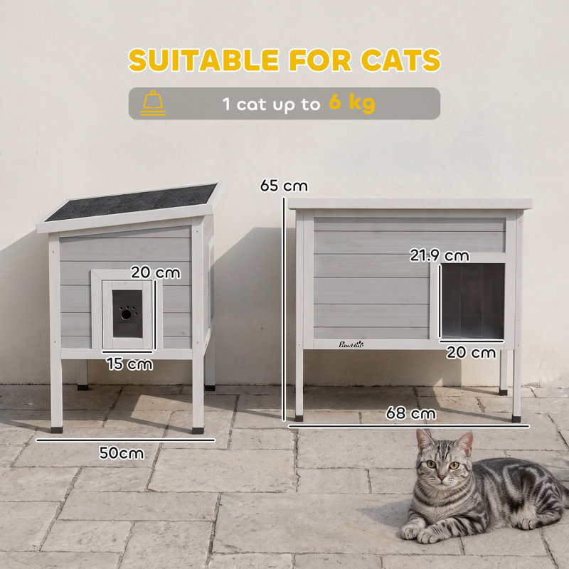 65 cm H Cat Accessories