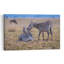 Zebras Grooming Together Peaceful Serene Contemporary Zebra Nature Wildlife Wall Art Print by Jeffrey C. Sink - 1 Piece Wrapped Canvas Wall Art-489217040
