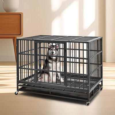 48 Inch Heavy Duty Indestructible Dog Crate,sturdy Locks, Double Door And Removable Tray Design, Extra Large Xl -  Tucker Murphy Petâ¢, 6FAC3A8B4A3F4E86B3822699985ADE88