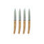 4 - Piece Stainless Steel Steak Knife Set