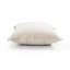 Calvin Square Pillow Cover & Insert