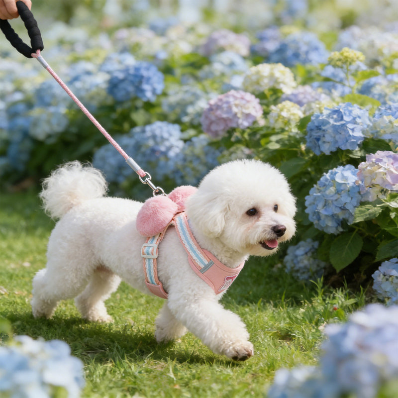 Gilet ajustable pour animal de compagnie, rose, Pkxl