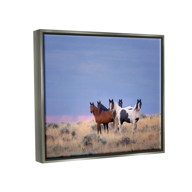 «Country Horses In Meadow», reproduction encadrée sur toile par PHBurchett, H 17 po x l 21 po x P 1,7 po