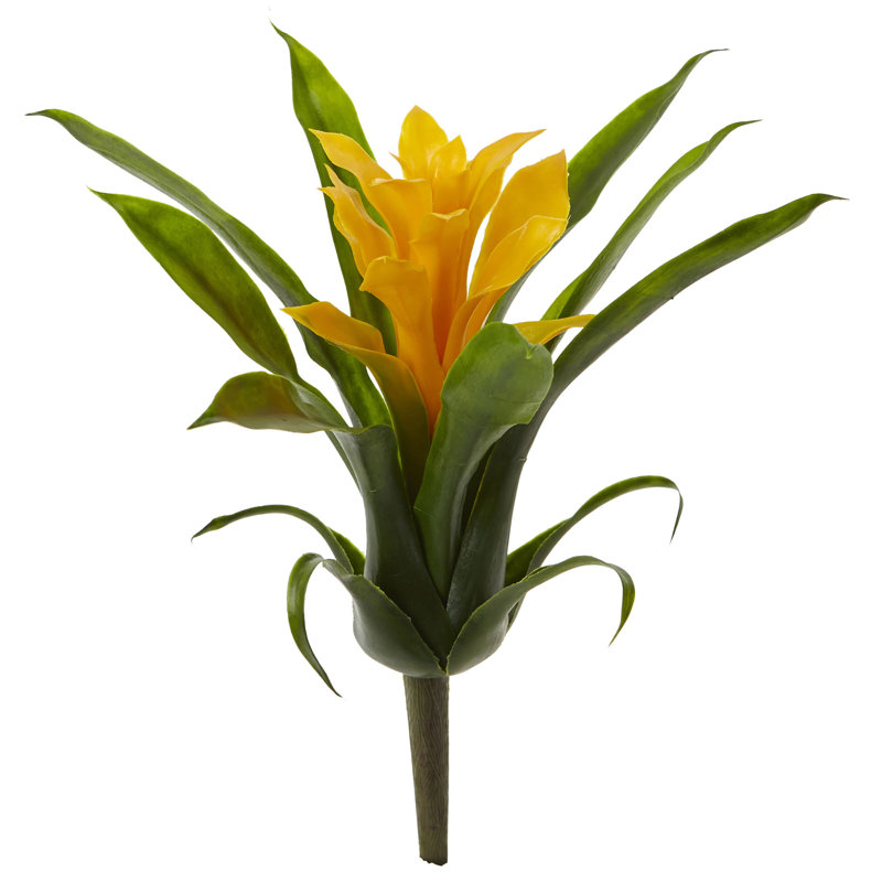 Tiges de bromeliad, Jaune