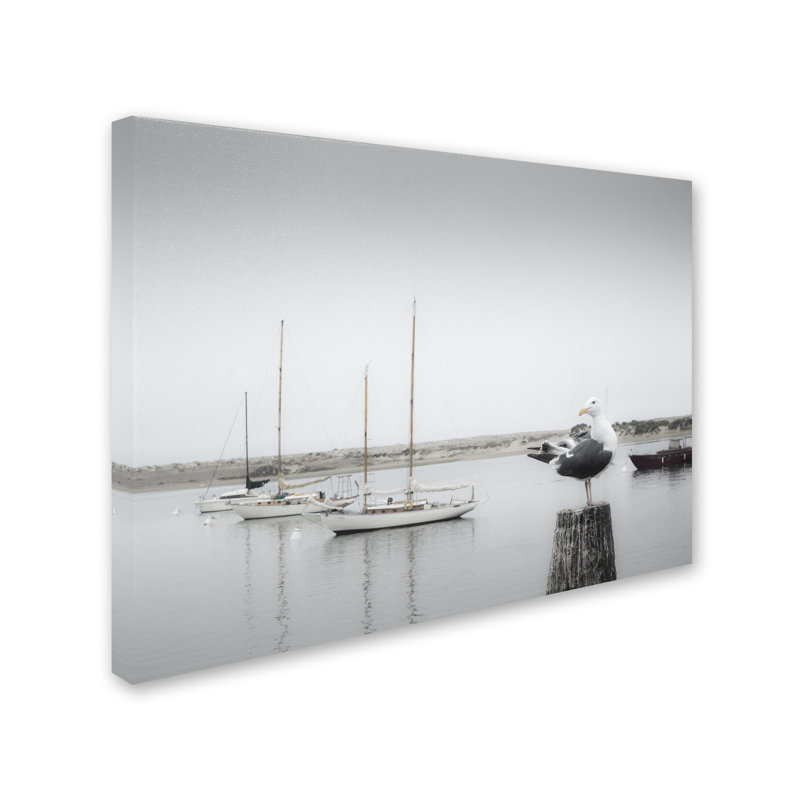 Gray and White Seagull with Boats Canvas Art, 14 x 19