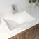 Denbigh 21'' W x 15" D Vitreous China Rectangular Undermount Bathroom Sink with Overflow
