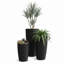 Grand pot de fleurs Solace - noir, paquet de 3 (toutes les tailles)-132260816-132260821-132260822