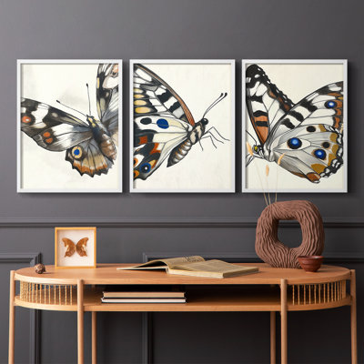 Butterflies  Series  CXIV  -Set Of 3 Framed Giclee Prints -Ready to Hang