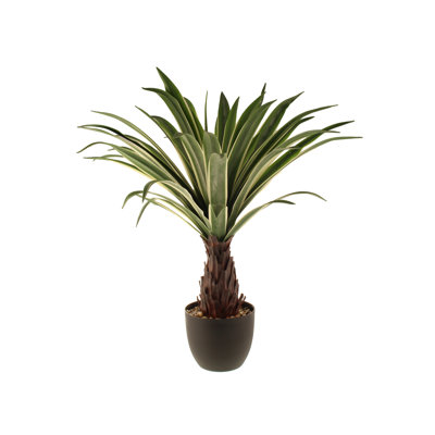 Faux Dracaena Plant in Planter