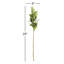 24-Inch Mini Berries Stem-1142777713