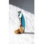 Parrot Corkscrew-1909684