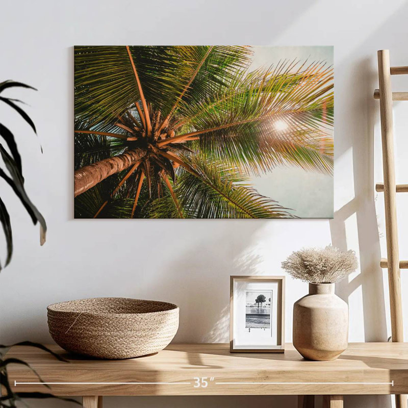 Harnek Canopy Palm Tree, 16" H x 24" W