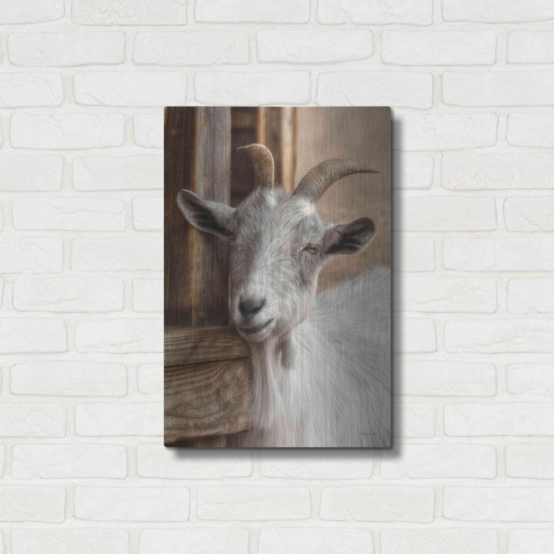 «Grey Goat» par Lori Deiter, H 24 po x l 16 po