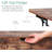 Lakshmy Single Coffee Table