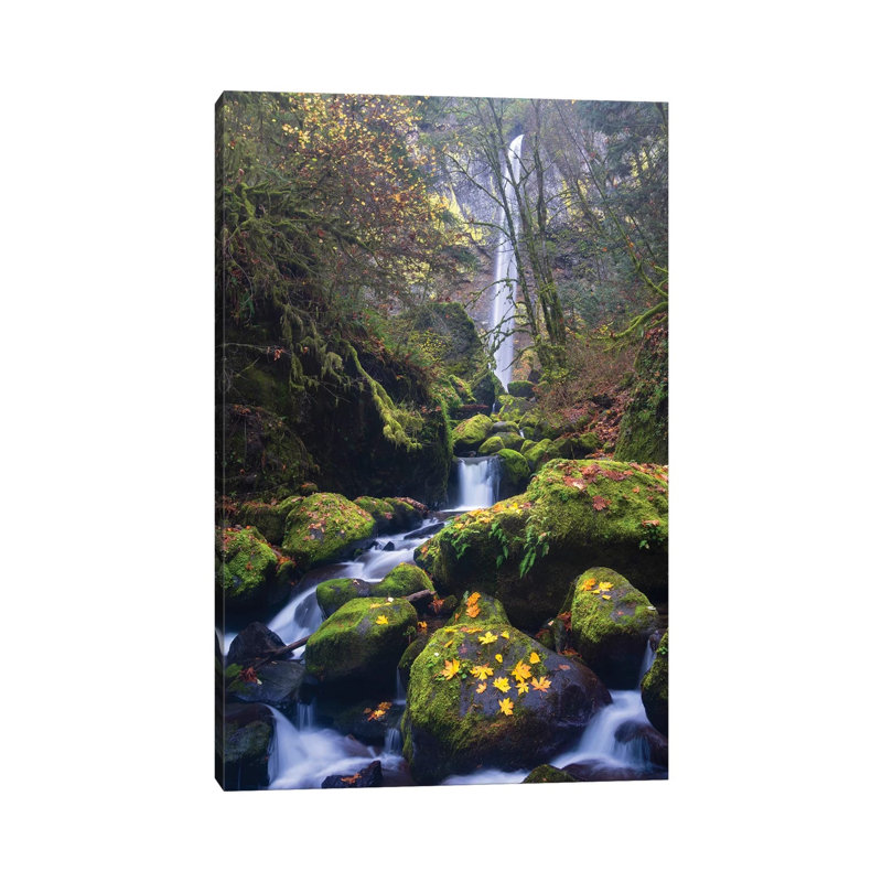 USA, Oregon. Autumn View Of Mccord Creek Flowing Below Elowah Falls In The Columbia River Gorge. by Gary Luhm - Wrapped Canvas Print