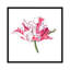 « brighton fleuris v », impression sur toile-29177771-72786520-72773402