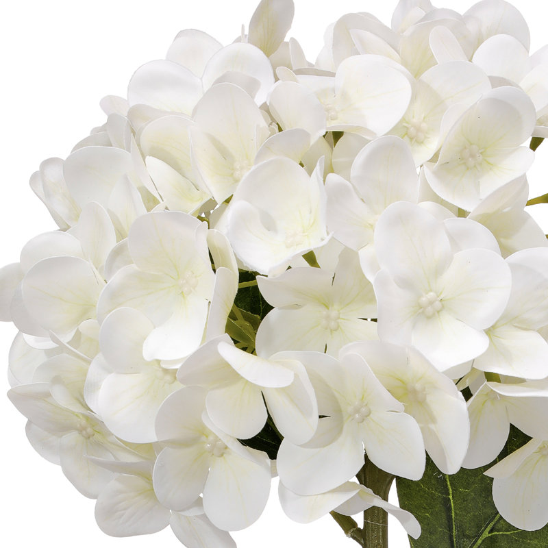 Tige d'hortensia 19 "PE, Blanc