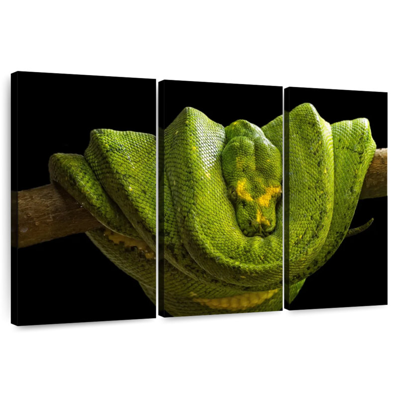 Brampt Green Boa Constrictor, 48" H x 74" W