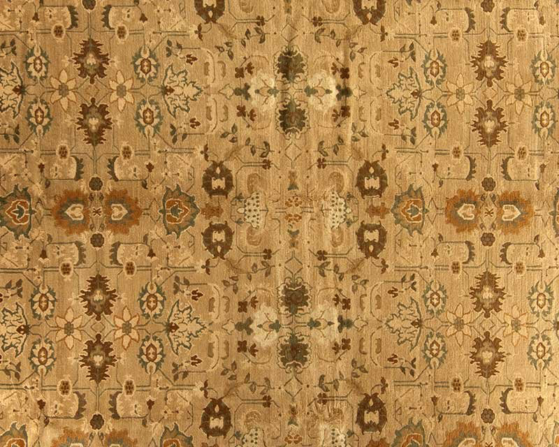 Arak Wool Oriental Area Rug