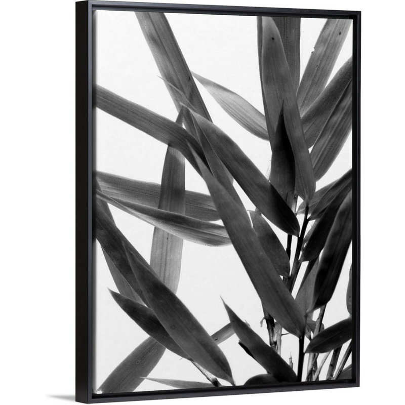 Art mural sur toile B&W Bamboo IV, Toile avec cadre noir, H 32 po x l 24 po x P 1,75 po