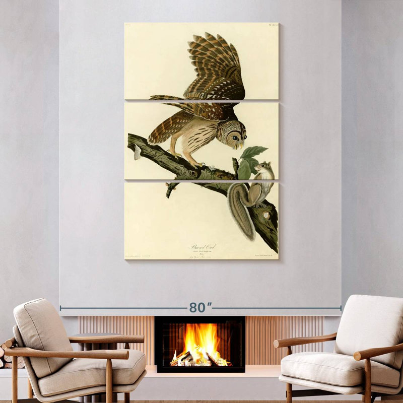 Chouette rayée d'oiseaux d'Amérique, H 74 po x l 48 po