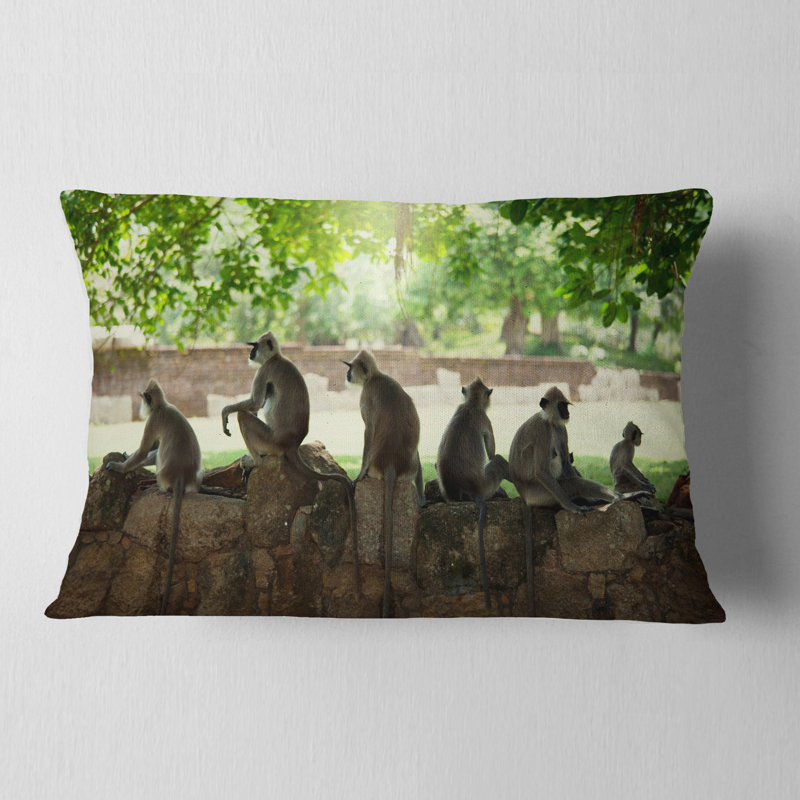 Coussin Schafer