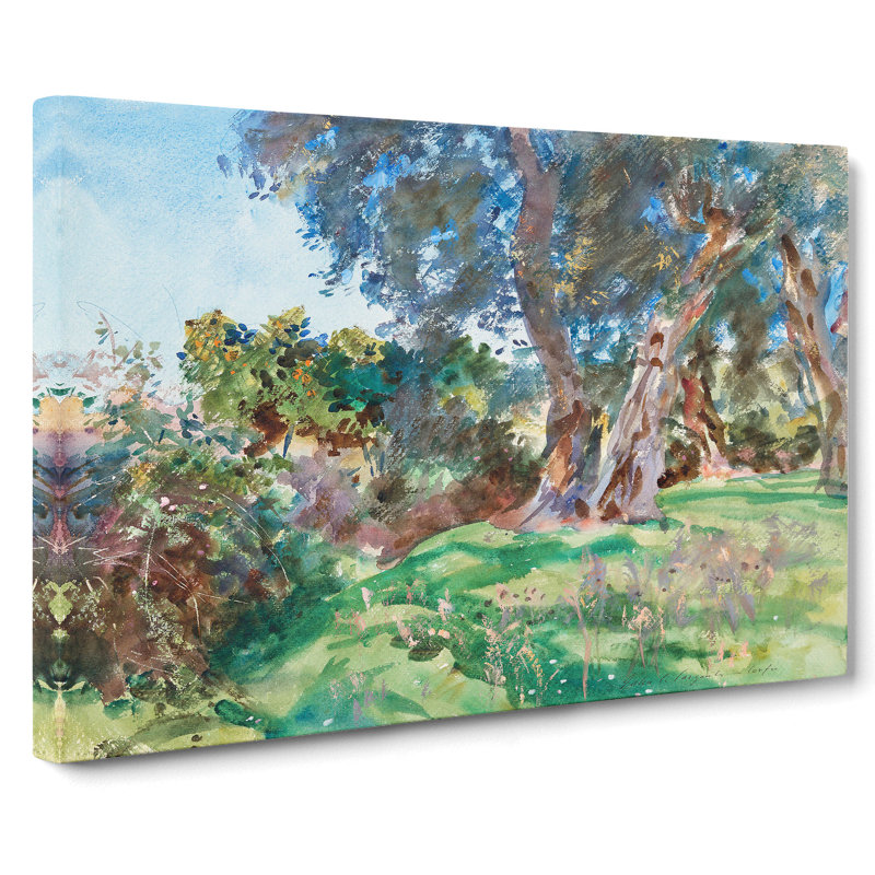 Olive Trees by John Singer Sargent - Wrapped Canvas, 40cm H x 60cm W x 3cm D