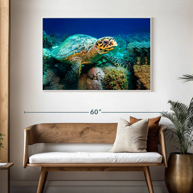 Tortue sous l'eau, 46 po x 31 po, Cadre flottant blanc
