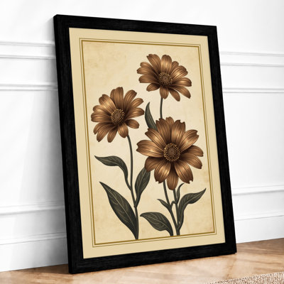 Three Daisy Studies Botanical - Framed Print