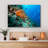 Orange Coral in a Reef-718884718