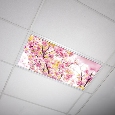 Couvre-lampes fluorescents pour salle de classe Flower - pour luminaire 2 x 4 - par Octo Lights
