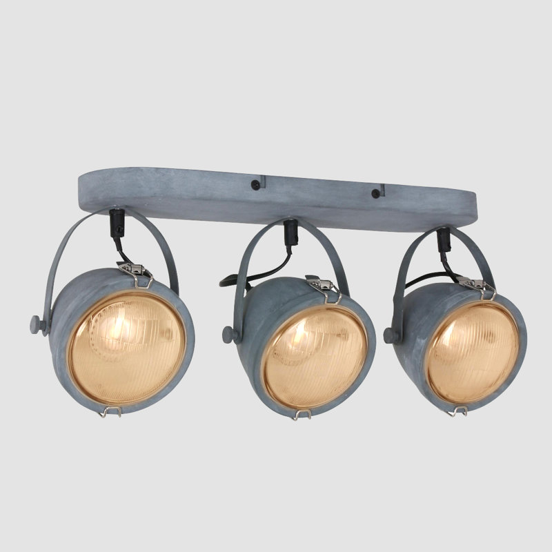 Roark Ceiling Spotlight
