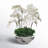 Arrangement in Planter-60993672