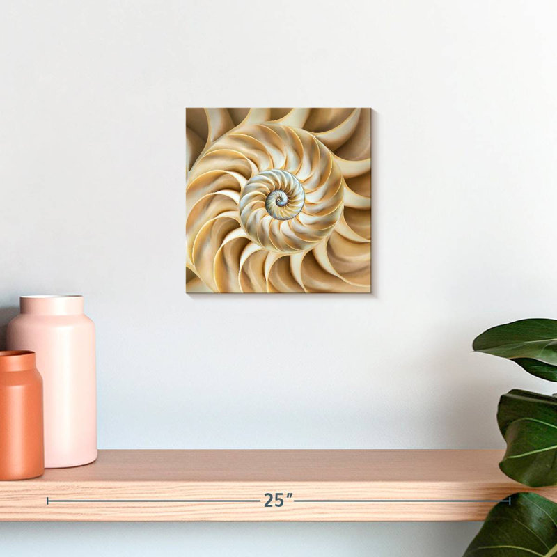Aletra Nautilus Symmetry, H 10 po x l 10 po