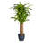 Faux Tree in Pot-1589667934
