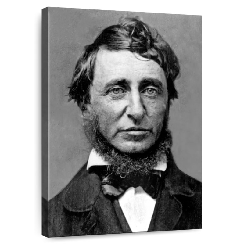 Henry David Thoreau, 24" H x 16" W