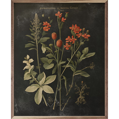Imprimé floral rétro orange, noir