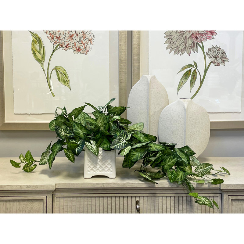 Ochoa Faux Syngonium Plant in Ceramic Vase