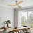 Calisse 52" Modern Farmhouse Ceiling Fan with Dimmable LED Light and Remote-974162606