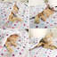 Adriao Super Soft Throw-1753309289