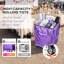 Byootique 20 "Rolling Tote Bag Sac d'épicerie sur roulettes-1857708473