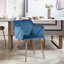 Sofiya 47cm H Velvet Upholstered Armchair-88674278-88674285