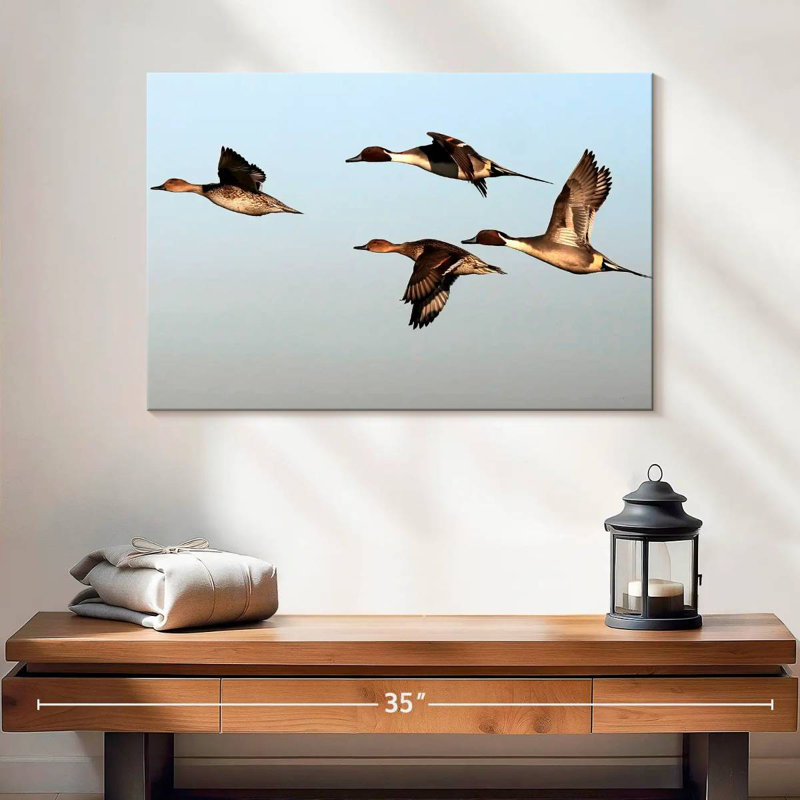 Brampt Pintail Ducks, 16" H x 24" W