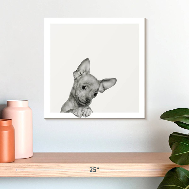 Crowle Sweet Chihuahua, H 16 po x l 16 po
