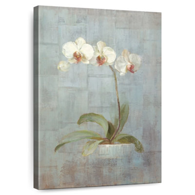 Harnek Elegant Orchid