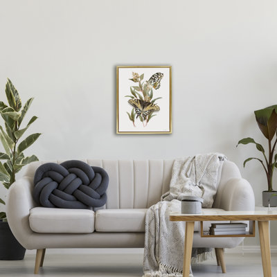 Cadre flottant avec herbes vertes Butterfly Grove, conception de House Fenway