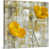 Toile sélectionné