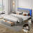 Upholstered Platform Bed-460704934