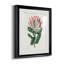 Protea N13 - Ensemble de 3 impressions encadrées-2127202178-2127202173